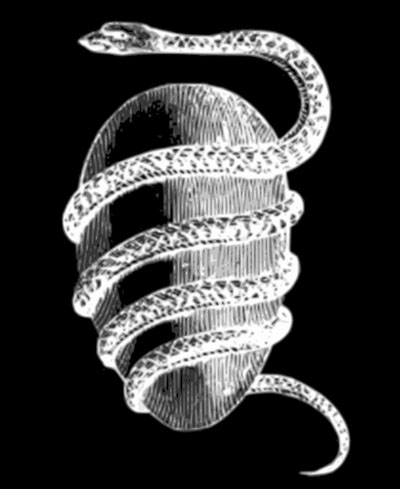Image result for orphic egg